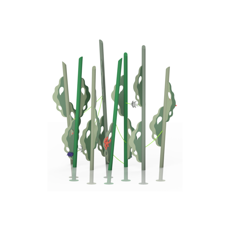 kelp forest cover image